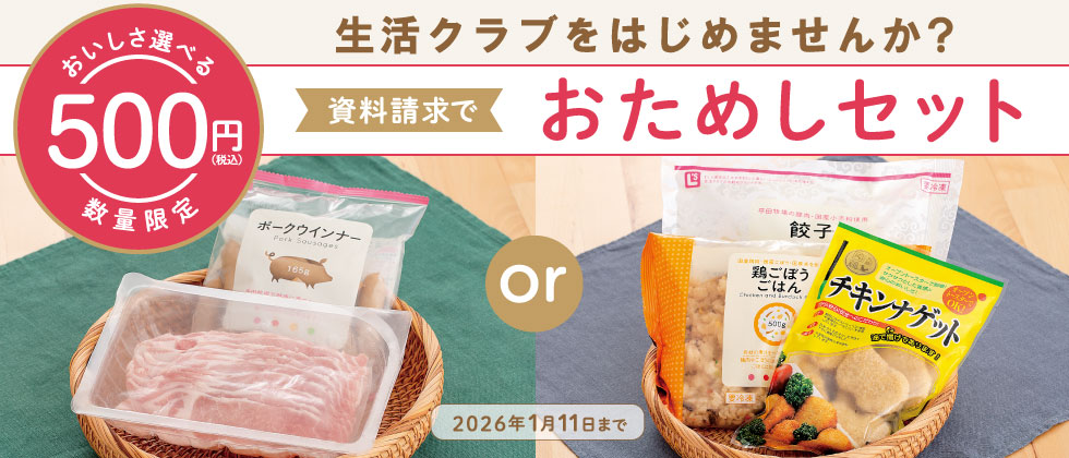 500円おためしサンプル