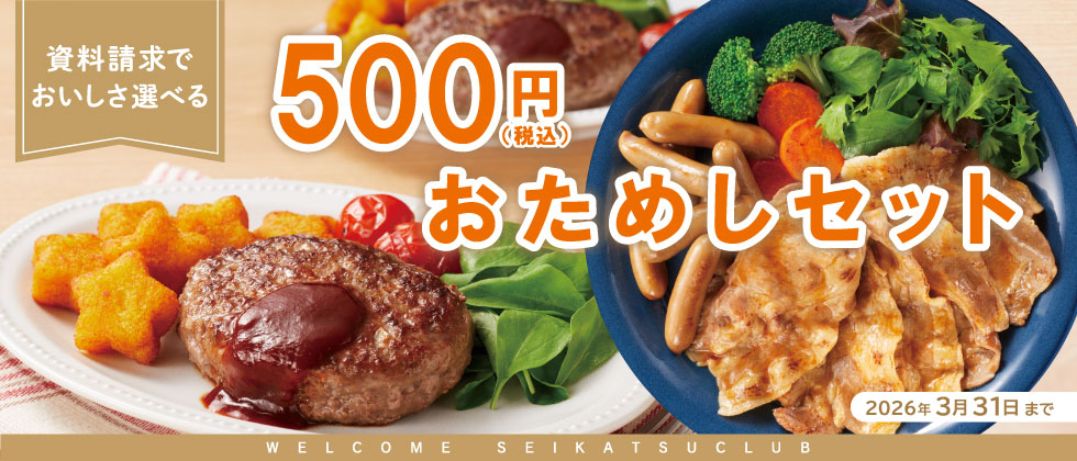 500円おためしサンプル